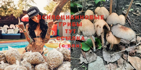 тгк Михайловск