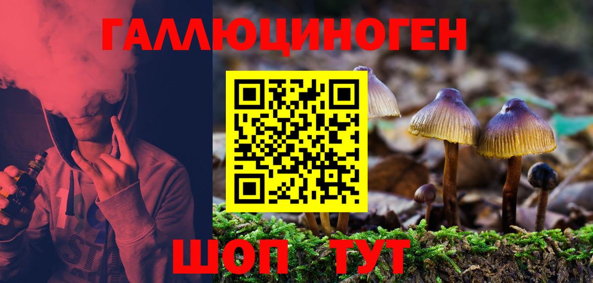 Псилоцибиновые грибы Magic Shrooms Туапсе
